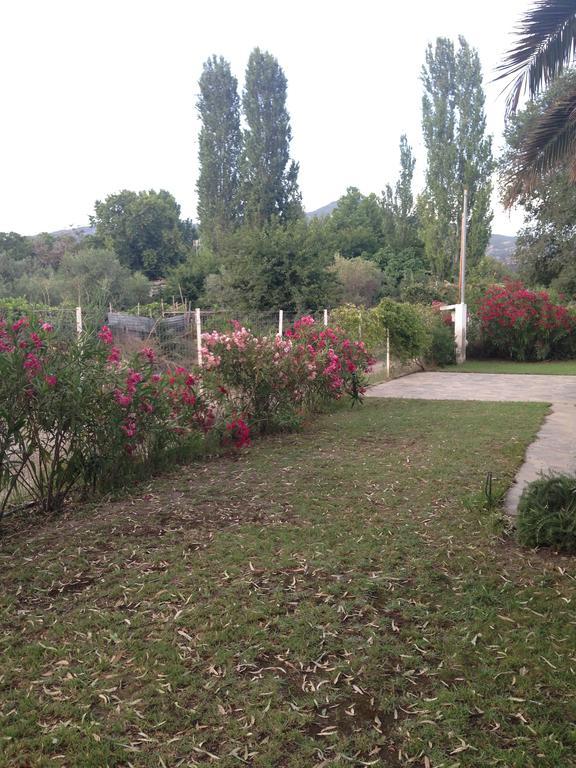 Villa Niki Neos Marmaras Ngoại thất bức ảnh